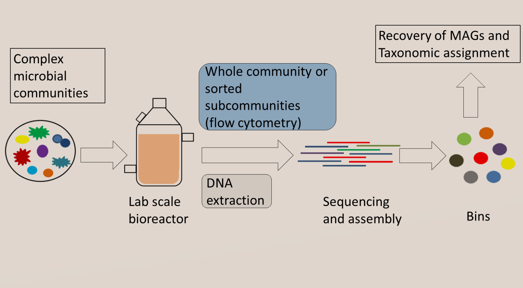 Combining flow cytometry and metagenomics to detect of metagenome assembled genomes (© Nafi’u Abdulkadir).